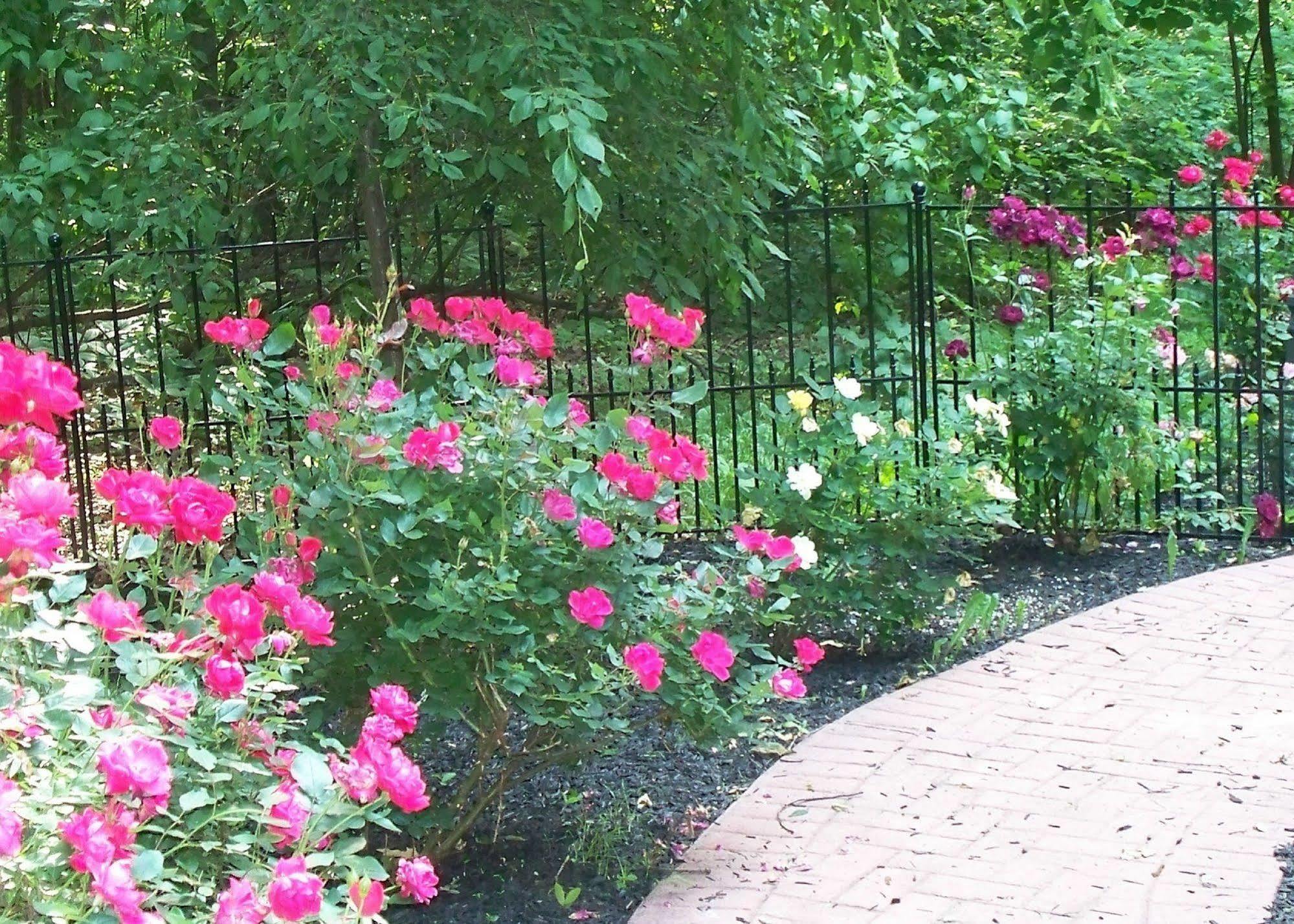 Bear House Bed And Breakfast Dover Bagian luar foto